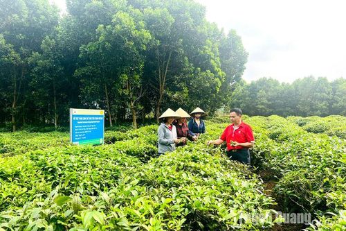 Bứt phá ở Yên Thuận