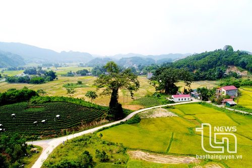 Du lịch nông nghiệp, nông thôn ở Phú Lương: Tiềm năng cần được khai phá