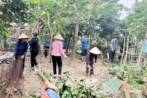 Hội viên nông dân có nhiều đóng góp trong phát triển kinh tế - xã hội