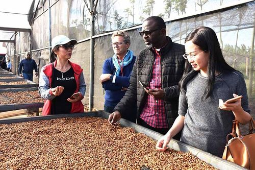 Cà phê có dễ đạt mục tiêu xuất khẩu 5 tỷ USD trong năm 2024?