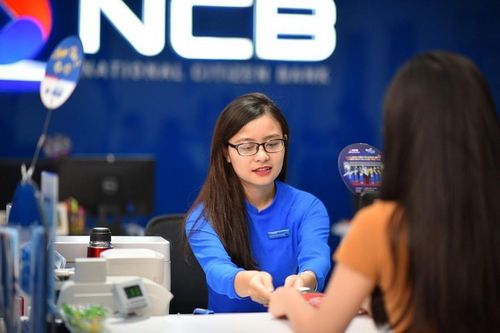 Gần kề ngày tổ chức ĐHCĐ, cổ phiếu NVB vẫn 'xanh' tích cực