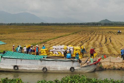 Hai địa phương chiếm tới 50% kim ngạch xuất khẩu của ĐBSCL quý 1