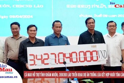 Cà Mau hỗ trợ tỉnh Khăm Muộn, CHDCND Lào triển khai Dự án trồng lúa kết hợp nuôi tôm càng xanh