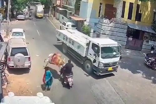 Đang chạy xe máy, người đàn ông bị bò húc văng vào gầm xe tải
