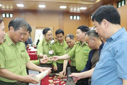 Việt Nam phạt tù hơn 330 đối tượng buôn bán động vật hoang dã