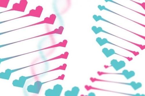 Bùng nổ tìm bạn đời qua xét nghiệm ADN nước bọt