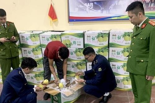 Nhập nhằng hoa quả 'sạch'