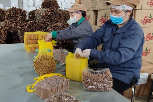 Để kinh tế xanh cất cánh