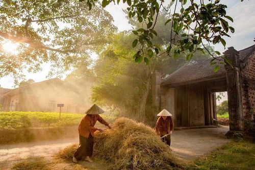 Đi đâu nghỉ lễ 30/4-1/5: kinh nghiệm thăm làng cổ Đường Lâm mới nhất 2024