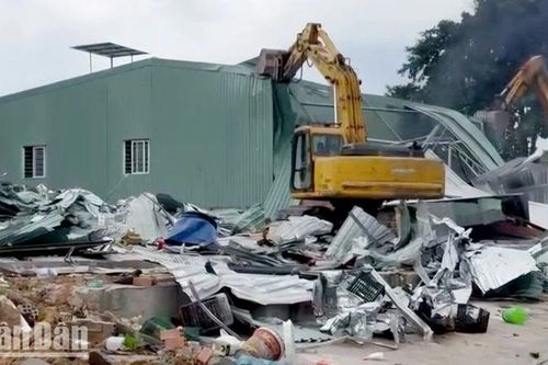 Kiên Giang: Cưỡng chế 45.000m2 đất lấn chiếm rừng quốc gia và dự án