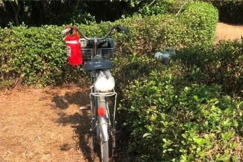 Phát hiện thi thể cháy sém trong Khu công nghiệp Tân Đức, Long An