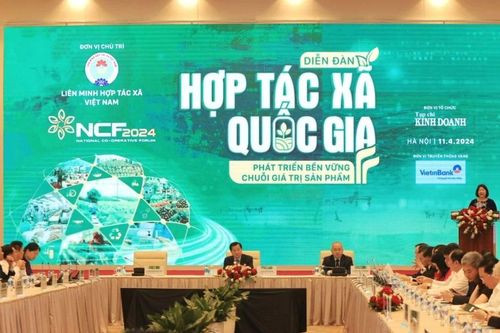 Làm rõ khó khăn, vướng mắc của kinh tế tập thể ở chính sách, quy định nào?