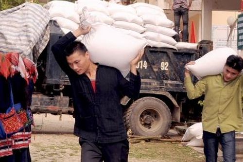 Tiếp tục cấp gạo cho các địa phương dịp giáp hạt đầu năm