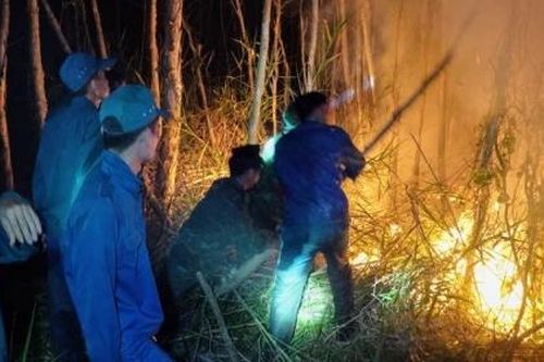 Vụ cháy rừng Cà Mau: Đã cô lập đám cháy