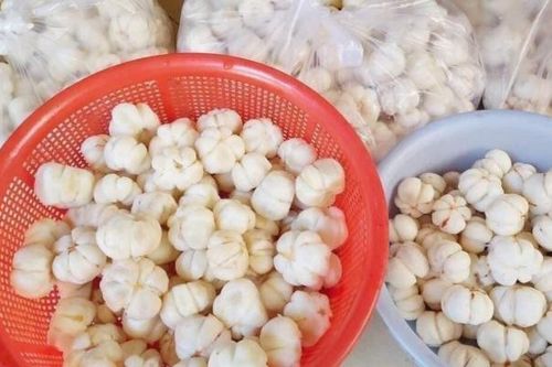 Măng cụt xanh đầu mùa giá cao kỷ lục, loại gọt sẵn lên tới 900.000 đồng/kg