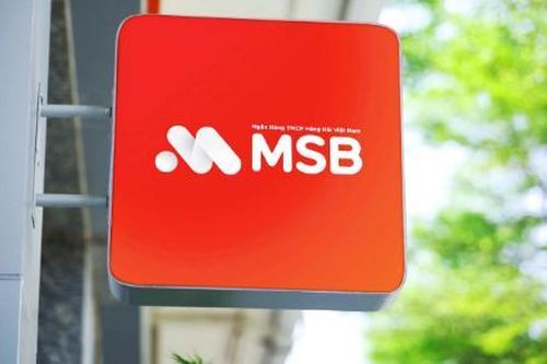 Cơ quan thanh tra yêu cầu MSB giải quyết vụ tiền gửi 'bốc hơi'