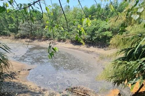 Hai trại nuôi lợn án ngữ đầu nguồn nước của hàng nghìn hộ dân