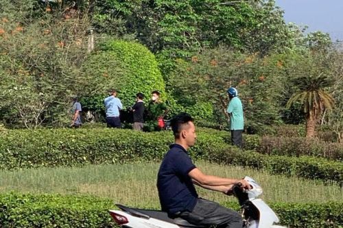 Phát hiện thi thể cháy sém giữa vòng xoay ở Long An