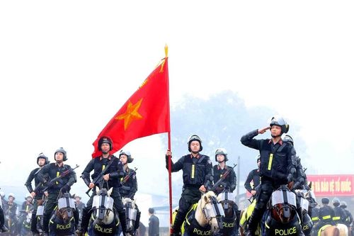 Cảnh sát cơ động Kỵ binh từng bước chuyên nghiệp hóa, hiện đại hóa