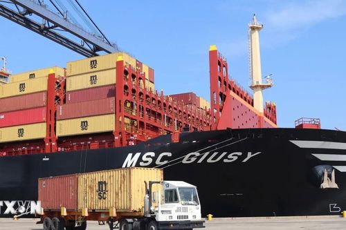Bà Rịa-Vũng Tàu đón tàu container tải trọng hơn 170.000 DWT