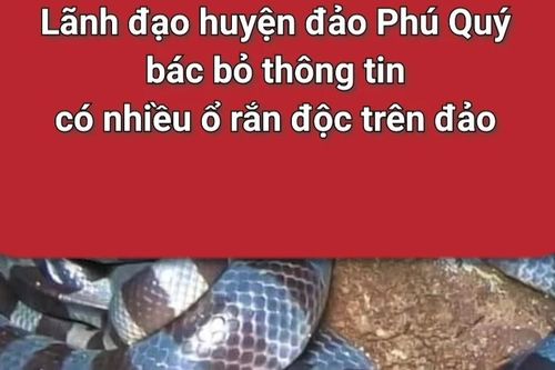 Bác bỏ thông tin có nhiều ổ rắn trên đảo Phú Quý