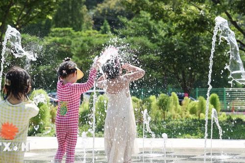 Hơn 240 triệu trẻ em có nguy cơ mắc bệnh và tử vong liên quan đến nhiệt độ