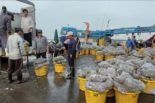 Bà Rịa - Vũng Tàu: Chậm hỗ trợ ngư dân theo Quyết định 48/2010/QĐ-TTg