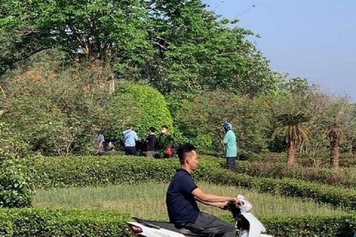 Long An: Điều tra vụ thi thể cháy sém giữa vòng xoay khu công nghiệp