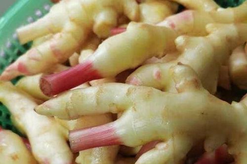 Vào mùa hè, đây là 'cao thủ làm sạch ruột', ăn 3 miếng mỗi ngày, chứng táo bón giảm đi, cơ thể thoải mái, dễ chịu