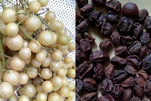 Loại quả xưa chín không ai hái, giờ thành đặc sản được ưa chuộng, 250.000 đồng/kg khô