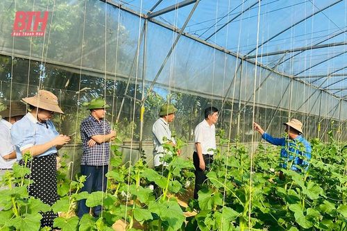 Nhân rộng mô hình sản xuất nông nghiệp hữu cơ, tuần hoàn không chất thải