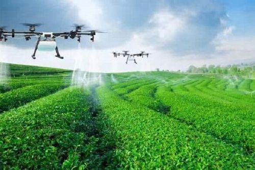 Sản xuất phân bón, thuốc bảo vệ thực vật chuyển đổi theo hướng xanh, giảm phát thải