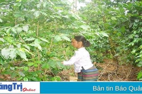 Hỗ trợ hiệu quả cấp quyền sử dụng đất cho hộ nghèo vùng dân tộc thiểu số