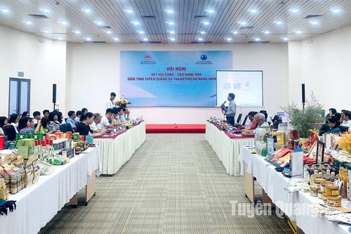 Kết nối cung cầu hàng hóa giữa Tuyên Quang và Đà Nẵng