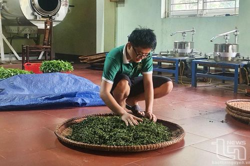 TP. Thái Nguyên: Phấn đấu 100% xã đạt chuẩn nông thôn mới nâng cao, kiểu mẫu