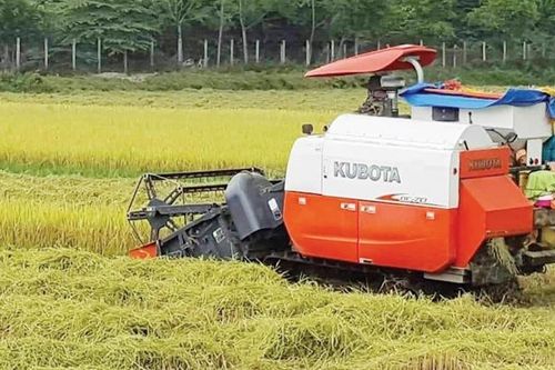 Kích thích làm nông nghiệp công nghệ cao