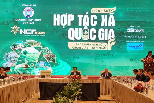 Cả nước có hơn 2.000 hợp tác xã nông nghiệp ứng dụng công nghệ cao
