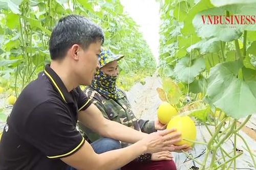 Nâng tầm HTX trong liên kết chuỗi giá trị nông sản