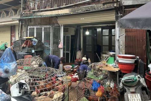 Kinh doanh, giết mổ gia cầm trái phép phớt lờ dịch bệnh