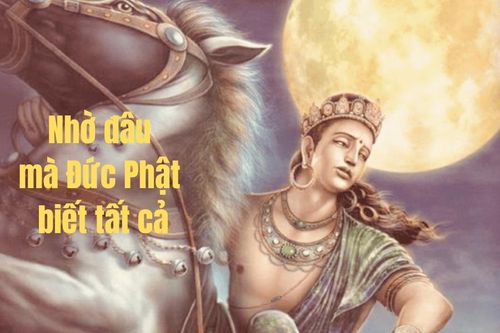 Nhờ đâu mà đức Phật biết hết