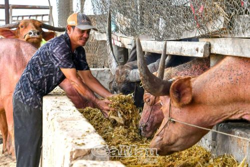 Niềm vui ở vùng biên Tân Hồng