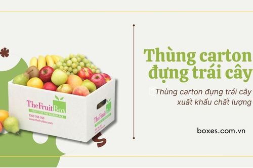 Boxes Việt Nam - Hành trình đưa thùng carton đựng trái cây xuất khẩu ra thế giới