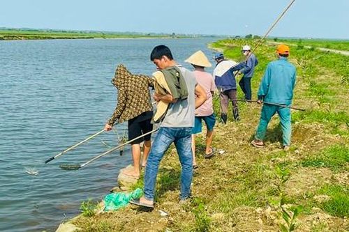Thông tin mới vụ cá trên sông Ô Giang liên tục chết không rõ nguyên nhân