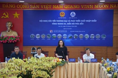 Ưu tiên phát triển ngành điện tử, dệt may, da giày… ở trung du và miền núi phía Bắc