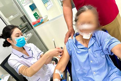 Hà Nội: Cụ bà khâu gần 70 mũi vì bị chó dữ tấn công