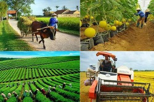 Đề xuất Danh mục văn bản QPPL pháp điển Đề mục Hợp tác xã