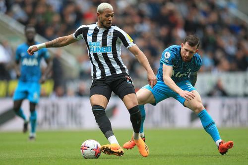 Newcastle-Tottenham: Khi Gà trống tới hang ổ Chích chòe