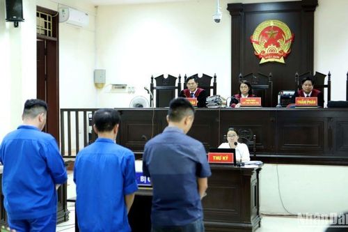 Xét xử phúc thẩm vụ án hình sự 'Dùng nhục hình' ở Thái Bình