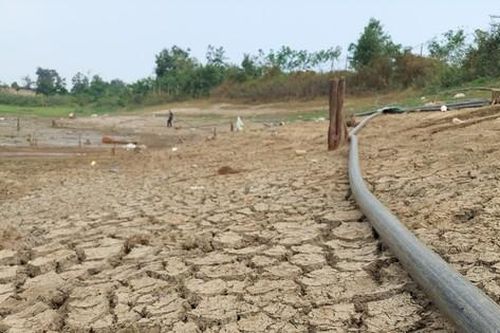 Cận cảnh hồ thủy lợi ở Kon Tum cạn trơ đáy