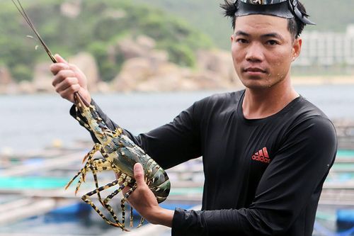 Diễn biến bất thường, Cục Thủy sản cảnh báo khẩn ngành hàng tỷ USD